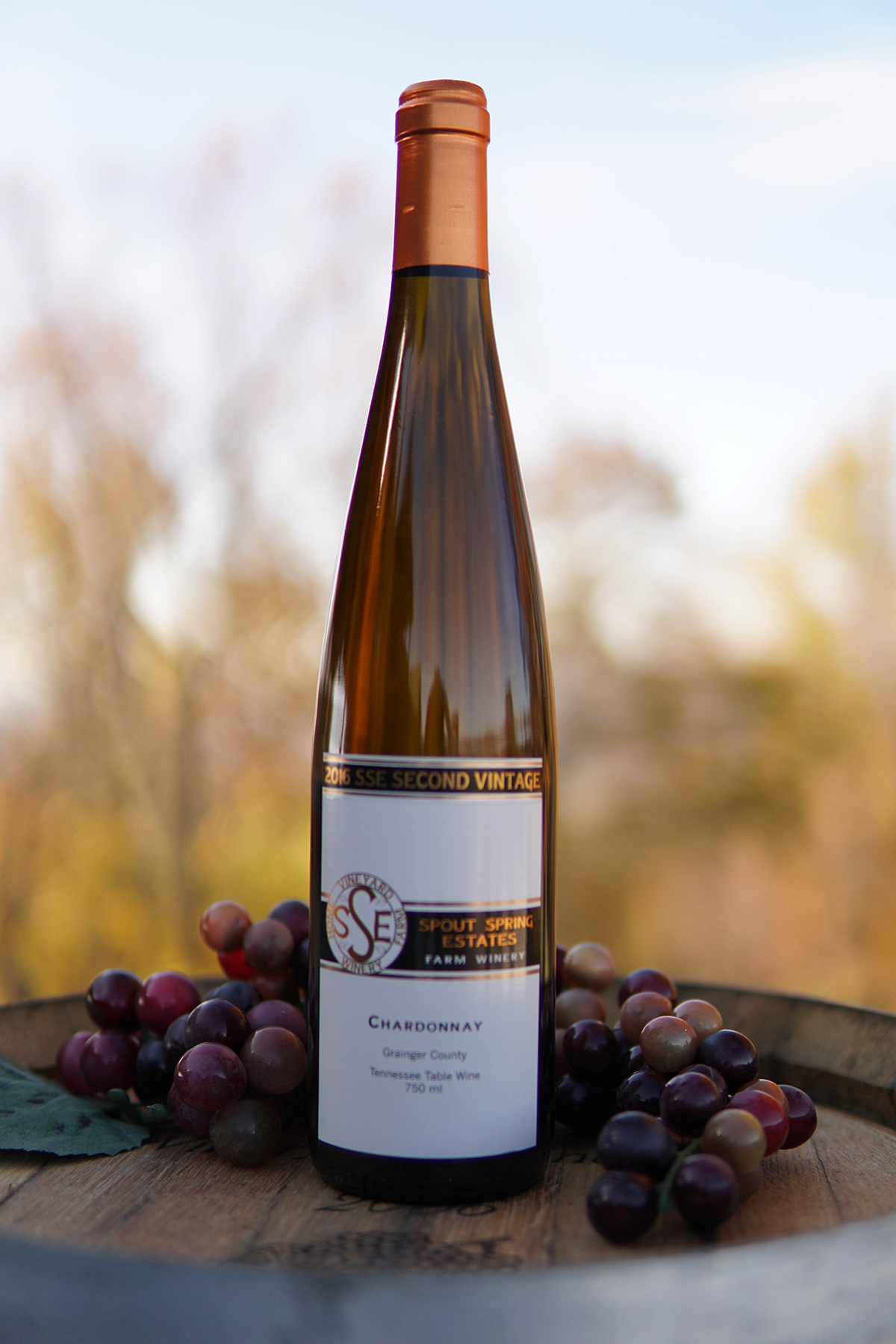 Chardonnay